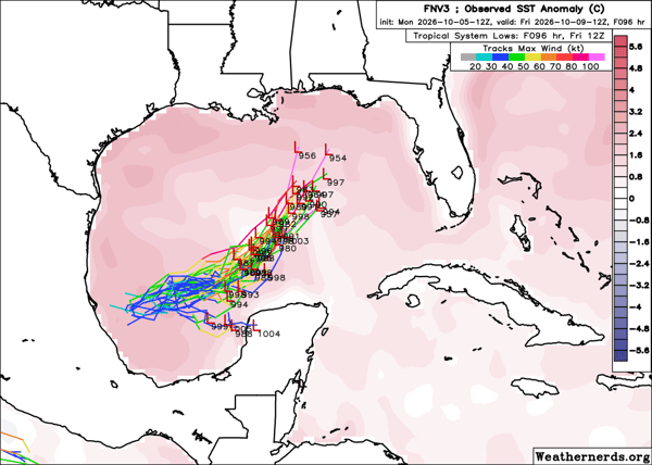 FNV3_ensembles_100512z