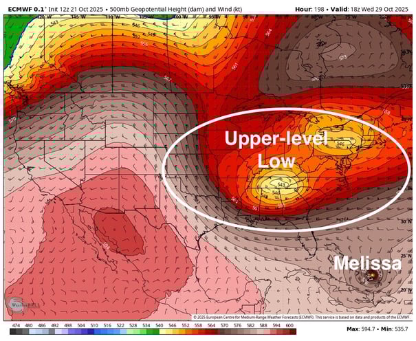 Image 11-Oct-21-2025-09-00-01-8541-PM