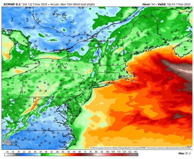 Image 8-Nov-05-2025-08-59-37-1181-PM