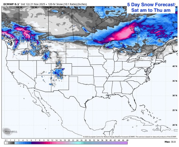 Image 8-Nov-21-2025-09-35-12-1017-PM