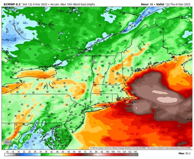 Image 9-Nov-04-2025-08-16-09-8238-PM