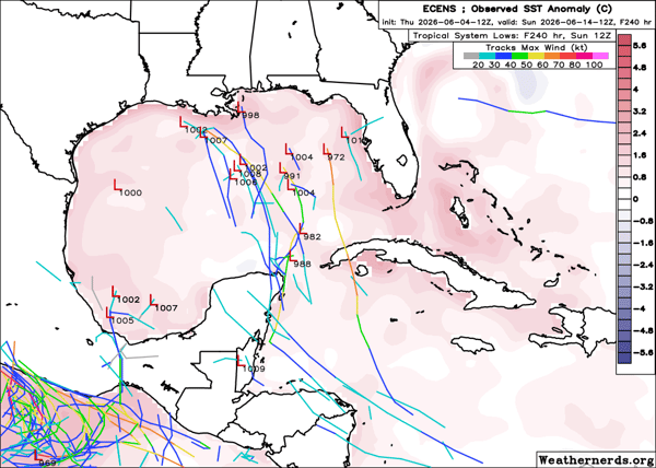 ECMWF ensemble forecast members indicating potential tropical development in the Gulf during mid-June