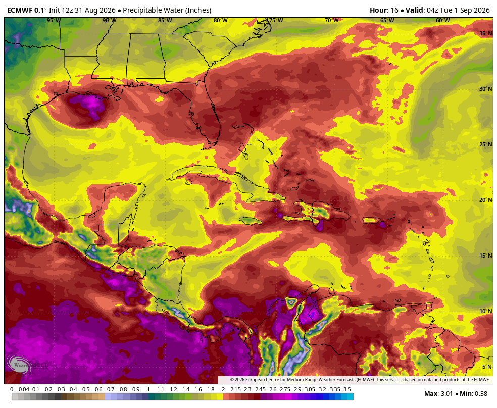PWAT forecast from Euro Model showing increased moisture over Florida