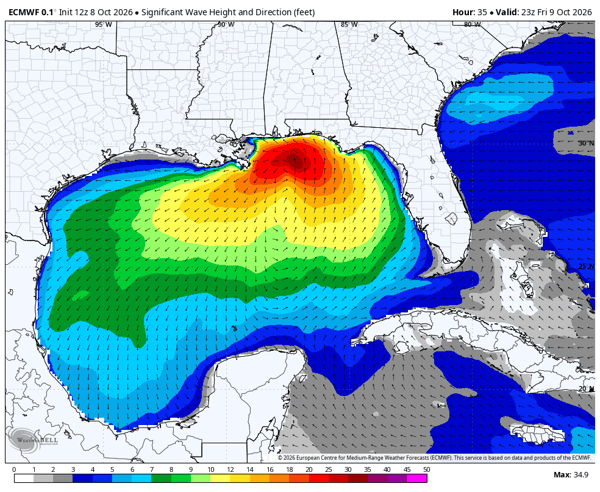 Wave Height Forecast for Friday Evening