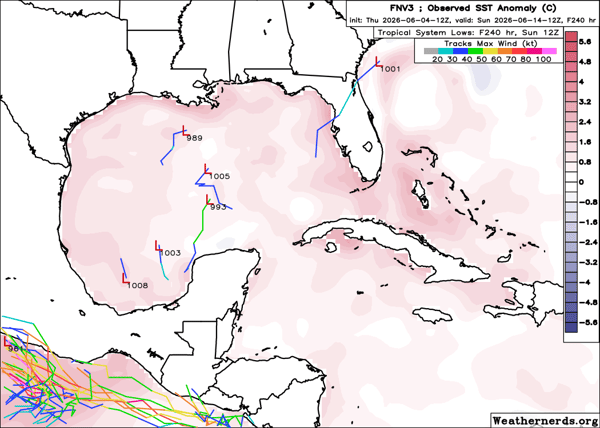Google AI model forecast indicating potential tropical development in the Gulf during mid-June