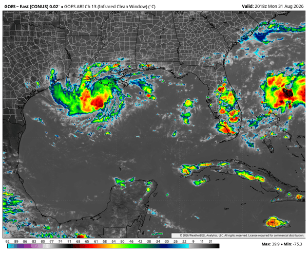 Satellite view of Tropical Depression Five in the Gulf