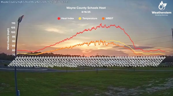 heat index vs WBGT vs actual temperature