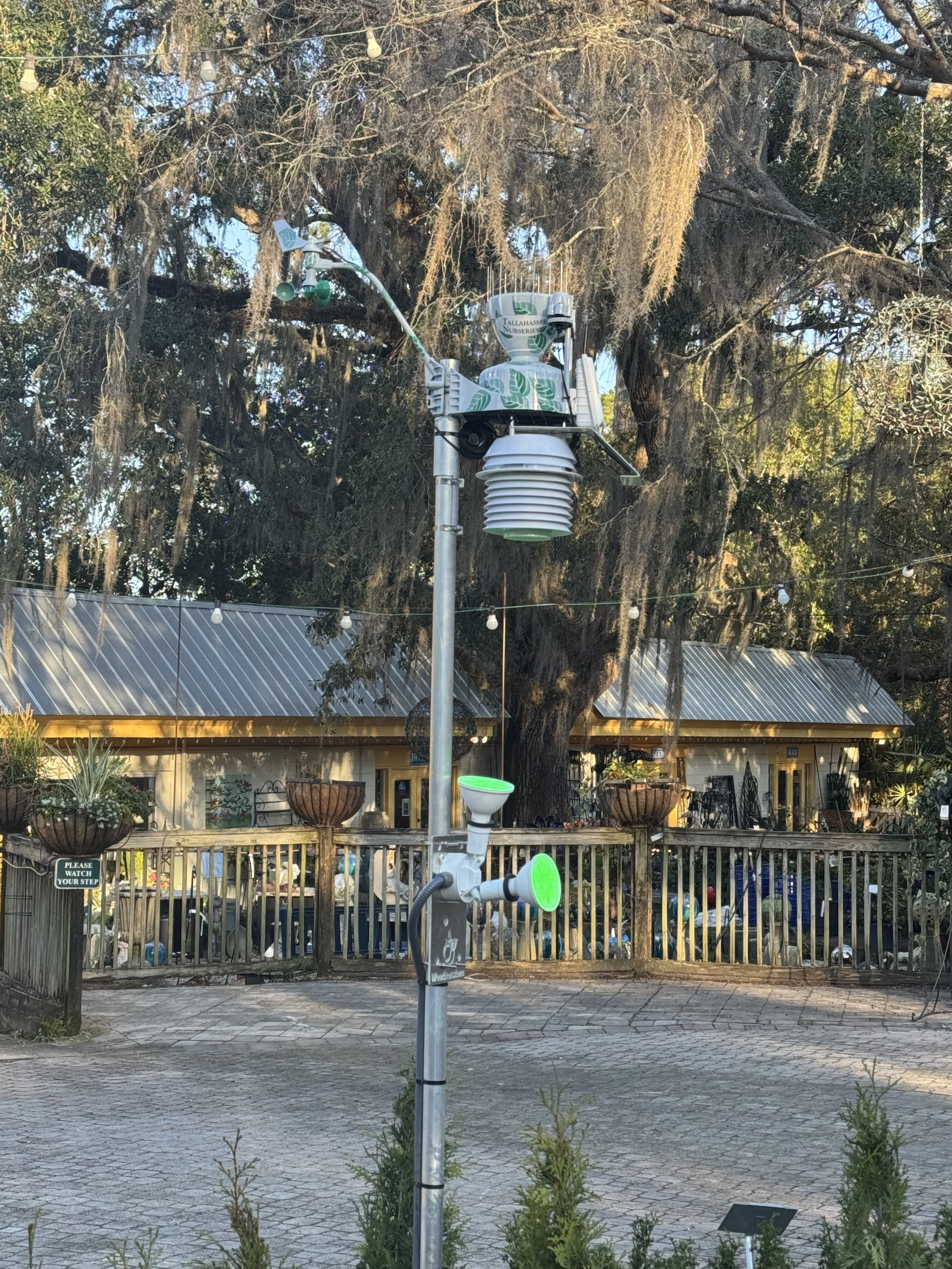 Weatherstem Bright, Tallahassee Nurseries, amber NWS warning color active