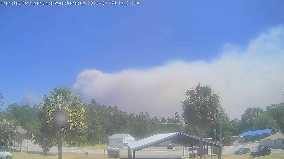 Wildfire smoke in Brantley County, GA